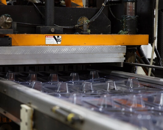 Recyclable-Clamshells-Manufacturing
