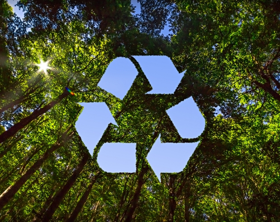 Recyclable-Clamshells-Biodegradable