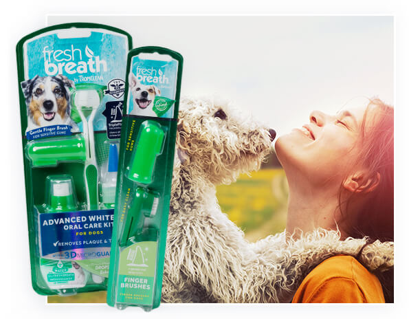 img-case-study-callout-fresh-breath-2